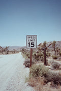 JOSHUA TREE No.9